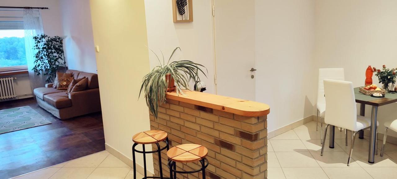 Danube Riverside Apartment With Quite Workplace Bratislava Exterior foto